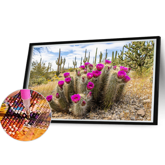 Diamond Painting - Full Round - Sunset over Sonoran Desert cactus near Phoenix, Arizona (45*30CM)