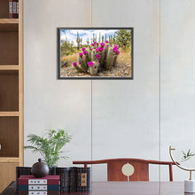 Load image into Gallery viewer, Diamond Painting - Full Round - Sunset over Sonoran Desert cactus near Phoenix, Arizona (45*30CM)