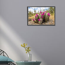 Load image into Gallery viewer, Diamond Painting - Full Round - Sunset over Sonoran Desert cactus near Phoenix, Arizona (45*30CM)