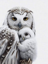 Load image into Gallery viewer, Diamond Painting - Full Round - owl (40*50CM)