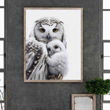 Load image into Gallery viewer, Diamond Painting - Full Round - owl (40*50CM)