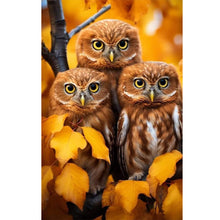 Load image into Gallery viewer, Diamond Painting - Full Round - three owls (40*60CM)