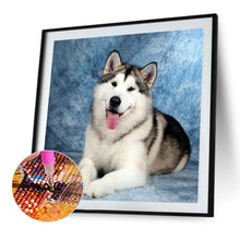 Load image into Gallery viewer, Diamond Painting - Full Square - Erha (50*50CM)