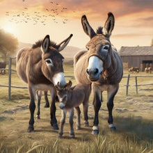 Load image into Gallery viewer, Diamond Painting - Full Round - farm donkey (30*30CM)