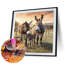 Load image into Gallery viewer, Diamond Painting - Full Round - farm donkey (30*30CM)
