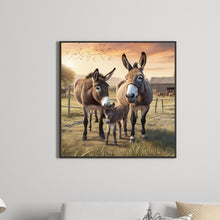 Load image into Gallery viewer, Diamond Painting - Full Round - farm donkey (30*30CM)