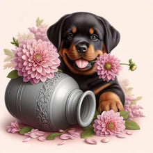 Load image into Gallery viewer, Diamond Painting - Full Square - Dog-Rottweiler (30*30CM)