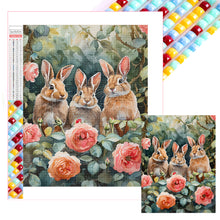 Load image into Gallery viewer, Diamond Painting - Full Square - peter rabbit (30*40CM)