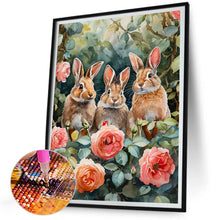 Load image into Gallery viewer, Diamond Painting - Full Square - peter rabbit (30*40CM)