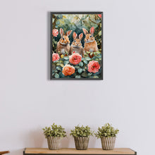 Load image into Gallery viewer, Diamond Painting - Full Square - peter rabbit (30*40CM)