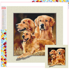 Load image into Gallery viewer, Diamond Painting - Full Square - golden retriever (30*30CM)
