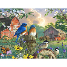 Load image into Gallery viewer, Diamond Painting - Full Square - bird (60*45CM)