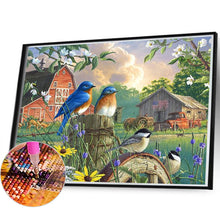 Load image into Gallery viewer, Diamond Painting - Full Square - bird (60*45CM)