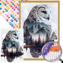 Load image into Gallery viewer, AB Diamond Painting - Full Round - owl landscape (40*60CM)