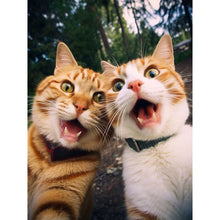 Load image into Gallery viewer, Diamond Painting - Full Round - funny cat (30*40CM)