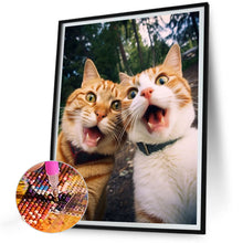 Load image into Gallery viewer, Diamond Painting - Full Round - funny cat (30*40CM)