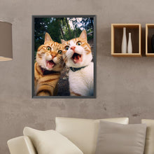 Load image into Gallery viewer, Diamond Painting - Full Round - funny cat (30*40CM)