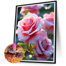 Load image into Gallery viewer, Diamond Painting - Full Round - Pink Rose (30*40CM)