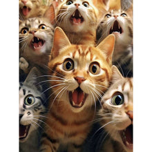 Load image into Gallery viewer, Diamond Painting - Full Round - funny cat (30*40CM)