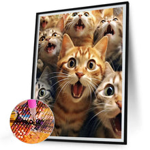 Load image into Gallery viewer, Diamond Painting - Full Round - funny cat (30*40CM)