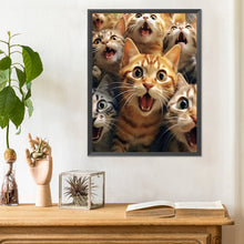 Load image into Gallery viewer, Diamond Painting - Full Round - funny cat (30*40CM)