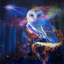 Load image into Gallery viewer, AB Diamond Painting - Full Round - Mysterious Owl (40*50CM)