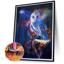 Load image into Gallery viewer, AB Diamond Painting - Full Round - Mysterious Owl (40*50CM)