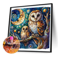 Load image into Gallery viewer, Diamond Painting - Full Square - owl (30*30CM)