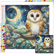 Load image into Gallery viewer, Diamond Painting - Full Square - owl (30*30CM)