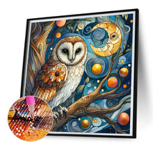 Load image into Gallery viewer, Diamond Painting - Full Square - owl (30*30CM)