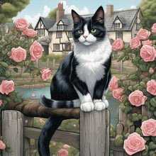 Load image into Gallery viewer, Diamond Painting - Full Round - country cat (30*30CM)