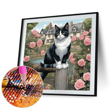 Load image into Gallery viewer, Diamond Painting - Full Round - country cat (30*30CM)