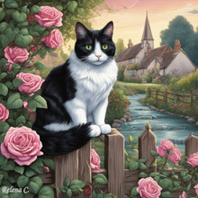 Load image into Gallery viewer, Diamond Painting - Full Round - black and white cat (30*30CM)
