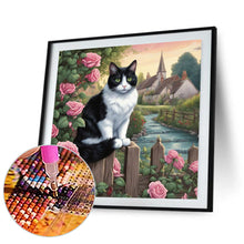 Load image into Gallery viewer, Diamond Painting - Full Round - black and white cat (30*30CM)