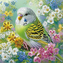 Load image into Gallery viewer, Diamond Painting - Partial Special Shaped - green parrot (40*40CM)