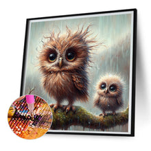 Load image into Gallery viewer, Diamond Painting - Full Square - owl (30*30CM)
