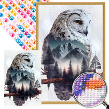 Load image into Gallery viewer, AB Diamond Painting - Full Round - owl (40*60CM)
