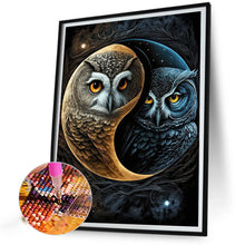 Load image into Gallery viewer, AB Diamond Painting - Full Square - owl (40*50CM)