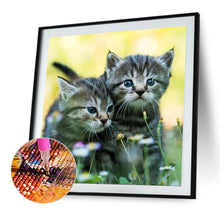 Load image into Gallery viewer, Diamond Painting - Full Square - cat cat (40*40CM)