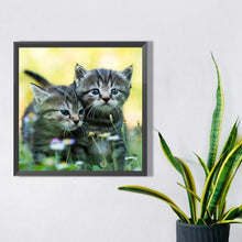 Load image into Gallery viewer, Diamond Painting - Full Square - cat cat (40*40CM)
