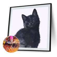 Load image into Gallery viewer, Diamond Painting - Full Square - black cat (50*50CM)