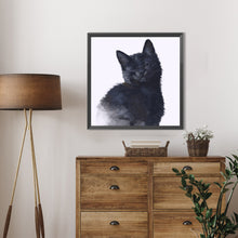 Load image into Gallery viewer, Diamond Painting - Full Square - black cat (50*50CM)