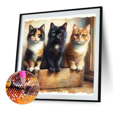 Load image into Gallery viewer, Diamond Painting - Full Round - cat (40*40CM)