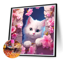 Load image into Gallery viewer, Diamond Painting - Full Round - picture frame animal kitten (30*30CM)