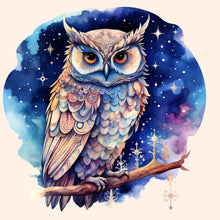 Load image into Gallery viewer, Diamond Painting - Full Round - owl (40*40CM)