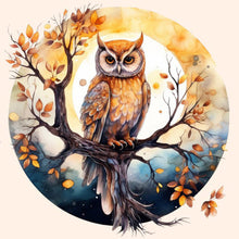Load image into Gallery viewer, Diamond Painting - Full Round - owl (40*40CM)