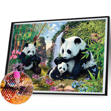 Load image into Gallery viewer, AB Diamond Painting - Full Round - Panda Valley (40*30CM)
