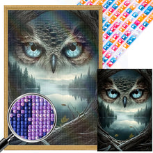 Load image into Gallery viewer, AB Diamond Painting - Full Square - owl (40*60CM)