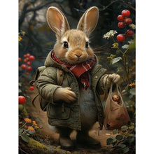 Load image into Gallery viewer, Diamond Painting - Full Square - peter rabbit (30*40CM)