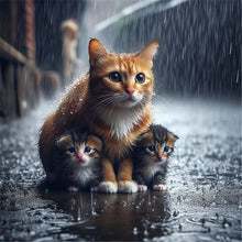 Load image into Gallery viewer, Diamond Painting - Full Round - Kitten in the rain (40*40CM)
